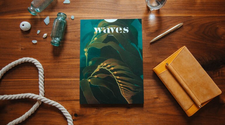 how to design a book cover professionally