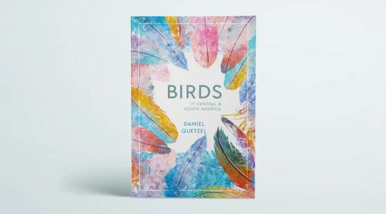 paperback cover template customization