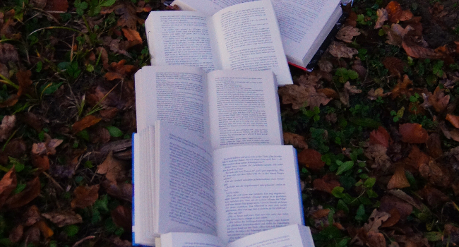 serial fiction for newsletters: a guide for authors